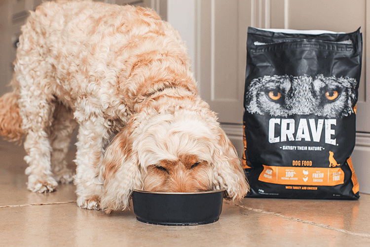 Proteinreiches Hundefutter, hergestellt mit natrlichen Zutaten | CRAVE